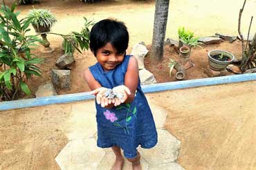 Vishmika