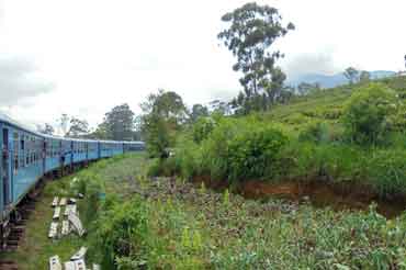 Zugfahrt von Ella nach Kandy