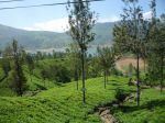 Zugfahrt durch die Berge Sri Lankas