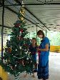  Johanna und Leonie schmücken unseren Weihnachtsbaum auf der Dachterrasse