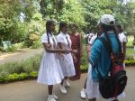 Botanischer Garten von Peradeniya in der Nähe von Kandy