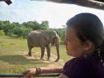 Safari im Yala National Park