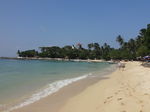 Jungle Beach