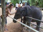 Auf Reisen und auf Augenhöhe mit dem ersten Elefant 