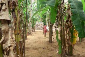 Tharushika bei der alltäglichen Gartenarbeit