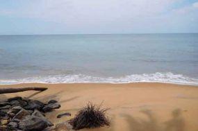 Der Strand am Palm Bay Hotel in Marawila