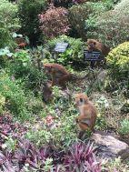 Affen im Botanischen Garten