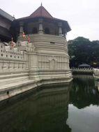 Der heilige Zahntempel in Kandy