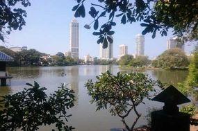  Blick auf Colombo