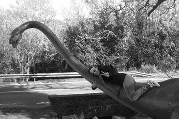 Freiwillige Sarah Krennbauer